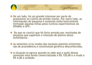 P&D Itabira E Regiao