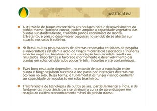 P&D Itabira E Regiao