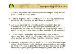 P&D Itabira E Regiao