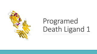 Programed
Death Ligand 1
 