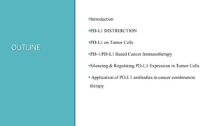 OUTLINE
Introduction
PD-L1 DISTRIBUTION
PD-L1 on Tumor Cells
PD-1/PD-L1 Based Cancer Immunotherapy
Silencing & Regulating PD-L1 Expression in Tumor Cells
 Application of PD-L1 antibodies in cancer combination
therapy
 