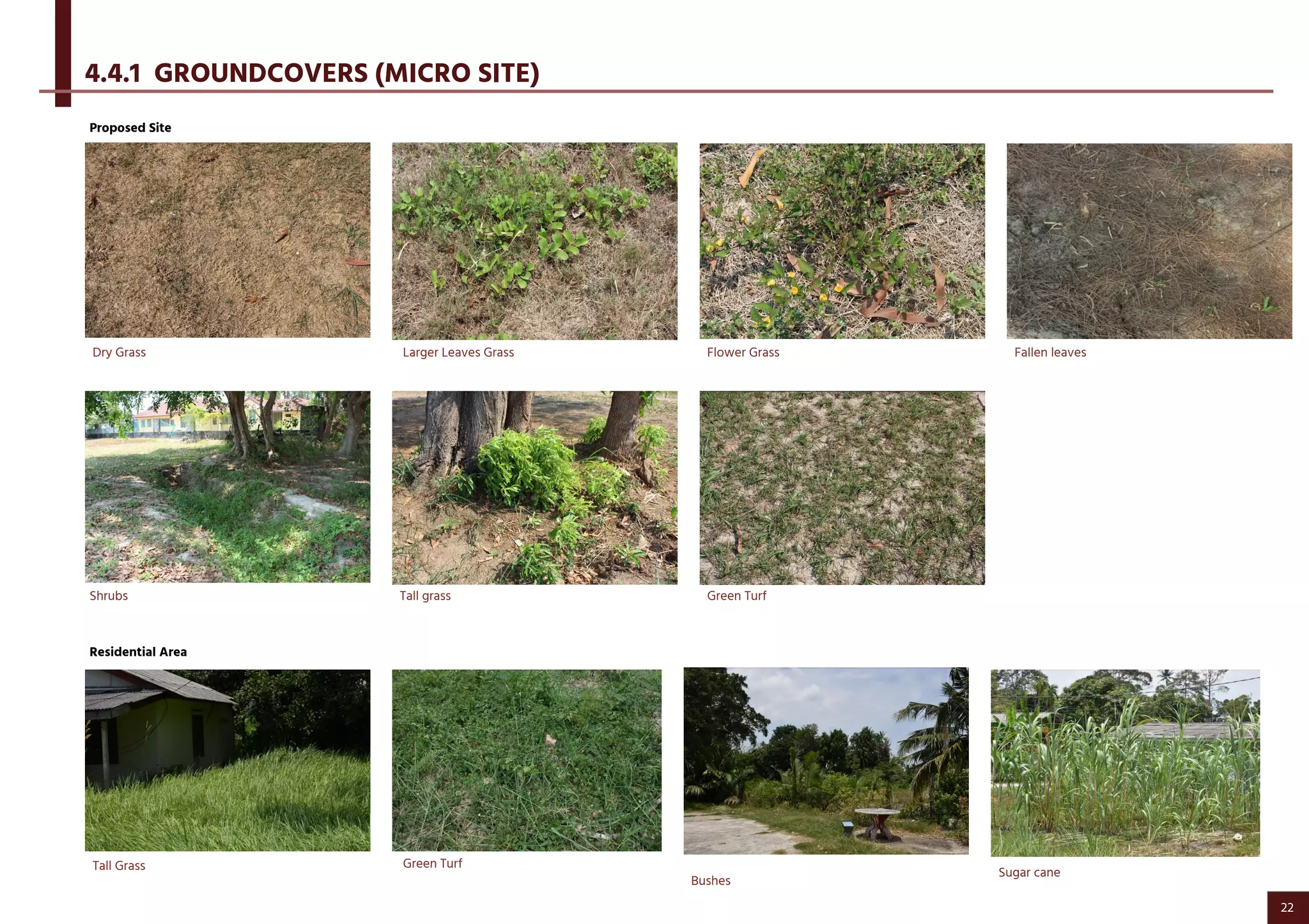Fallen leavesDry Grass Larger Leaves Grass Flower Grass
Shrubs Tall grass
Proposed Site
4.4.1 GROUNDCOVERS (MICRO SITE)
Green Turf
Sugar cane
Tall Grass Green Turf
Bushes
Residential Area
22
 