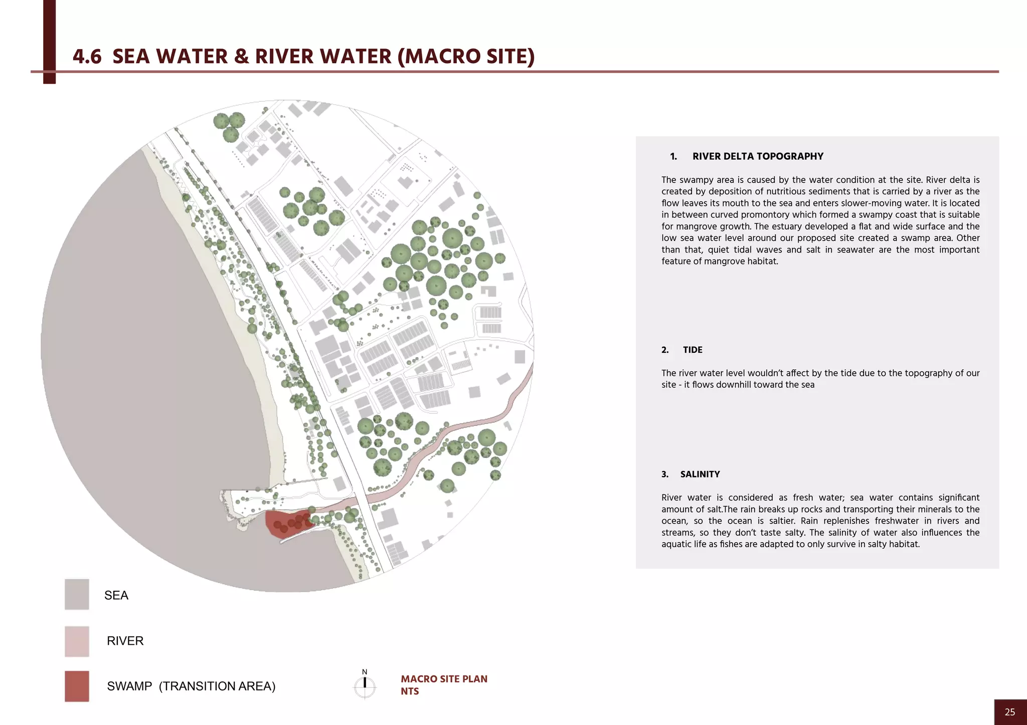 4.6 SEA WATER & RIVER WATER (MACRO SITE)
3. SALINITY
River water is considered as fresh water; sea water contains signiﬁcant
amount of salt.The rain breaks up rocks and transporting their minerals to the
ocean, so the ocean is saltier. Rain replenishes freshwater in rivers and
streams, so they don’t taste salty. The salinity of water also inﬂuences the
aquatic life as ﬁshes are adapted to only survive in salty habitat.
SEA
RIVER
SWAMP (TRANSITION AREA)
1. RIVER DELTA TOPOGRAPHY
The swampy area is caused by the water condition at the site. River delta is
created by deposition of nutritious sediments that is carried by a river as the
ﬂow leaves its mouth to the sea and enters slower-moving water. It is located
in between curved promontory which formed a swampy coast that is suitable
for mangrove growth. The estuary developed a ﬂat and wide surface and the
low sea water level around our proposed site created a swamp area. Other
than that, quiet tidal waves and salt in seawater are the most important
feature of mangrove habitat.
2. TIDE
The river water level wouldn’t affect by the tide due to the topography of our
site - it ﬂows downhill toward the sea
MACRO SITE PLAN
NTS
25
 