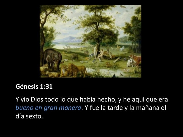 Resultat d'imatges de vio Dios que todo lo creado era bueno