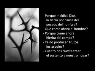 - Porque maldice Dios
la tierra por causa del
pecado del hombre?
- Que come ahora el hombre?
- Porque come ahora
hierba del campo?
- Ya no producen frutos
los arboles?
- Cuanto nos cuesta traer
el sustento a nuestro hogar?
 