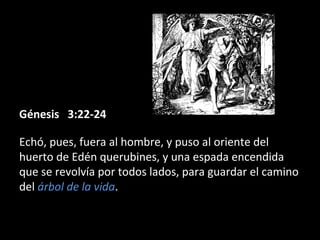 Génesis 3:22-24Génesis 3:22-24
Echó, pues, fuera al hombre, y puso al oriente del
huerto de Edén querubines, y una espada encendida
que se revolvía por todos lados, para guardar el camino
del árbol de la vida.
 