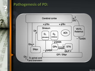 Pathogenesis of PD:
 