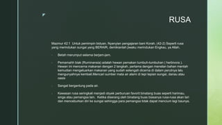 z
RUSA
Mazmur 42:1 Untuk pemimpin biduan. Nyanyian pengajaran bani Korah. (42-2) Seperti rusa
yang merindukan sungai yang BERAIR, demikianlah jiwaku merindukan Engkau, ya Allah.
- Betah merumput selama berjam-jam.
- Pemamahh biak (Ruminansia) adalah hewan pemakan tumbuh-tumbuhan ( herbivora ).
Hewan ini mencerna makanan dengan 2 langkah, pertama dengan menelan bahan mentah
kemudian mengeluarkan makanan yang sudah setengah dicerna di dalam perutnya lalu
mengunyahnya kembali.Mencari sumber mata air alami di tepi tepian sungai, danau atau
oasis
- Sangat bergantung pada air.
- Kawasan rusa seringkali menjadi obyek perburuan favorit binatang buas seperti harimau,
singa atau pemangsa lain. Ketika diserang oleh binatang buas biasanya rusa-rusa akan lari
dan menceburkan diri ke sungai sehingga para pemangsa tidak dapat mencium lagi baunya.
 