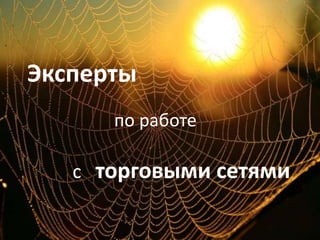 Экспертыпо работес   торговыми сетями