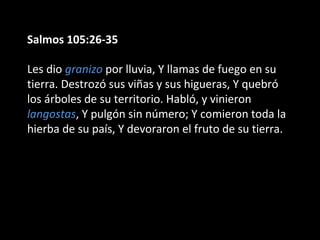 Salmos 105:26-35
Les dio granizo por lluvia, Y llamas de fuego en su
tierra. Destrozó sus viñas y sus higueras, Y quebró
los árboles de su territorio. Habló, y vinieron
langostas, Y pulgón sin número; Y comieron toda la
hierba de su país, Y devoraron el fruto de su tierra.

 