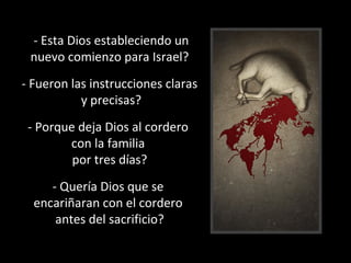 - Esta Dios estableciendo un
nuevo comienzo para Israel?
- Fueron las instrucciones claras
y precisas?
- Porque deja Dios al cordero
con la familia
por tres días?
- Quería Dios que se
encariñaran con el cordero
antes del sacrificio?

 
