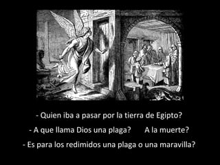 - Quien iba a pasar por la tierra de Egipto?
- A que llama Dios una plaga?

A la muerte?

- Es para los redimidos una plaga o una maravilla?

 