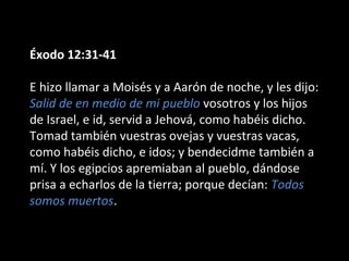 Éxodo 12:31-41
E hizo llamar a Moisés y a Aarón de noche, y les dijo:
Salid de en medio de mi pueblo vosotros y los hijos
de Israel, e id, servid a Jehová, como habéis dicho.
Tomad también vuestras ovejas y vuestras vacas,
como habéis dicho, e idos; y bendecidme también a
mí. Y los egipcios apremiaban al pueblo, dándose
prisa a echarlos de la tierra; porque decían: Todos
somos muertos.

 