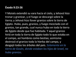 Éxodo 9:23-26
Y Moisés extendió su vara hacia el cielo, y Jehová hizo
tronar y granizar, y el fuego se descargó sobre la
tierra; y Jehová hizo llover granizo sobre la tierra de
Egipto. Hubo, pues, granizo, y fuego mezclado con el
granizo, tan grande, cual nunca hubo en toda la tierra
de Egipto desde que fue habitada. Y aquel granizo
hirió en toda la tierra de Egipto todo lo que estaba en
el campo, así hombres como bestias; asimismo
destrozó el granizo toda la hierba del campo, y
desgajó todos los árboles del país. Solamente en la
tierra de Gosén, donde estaban los hijos de Israel, no
hubo granizo.

 