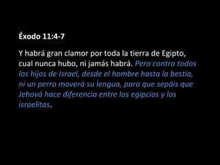 Éxodo 11:4-7
Y habrá gran clamor por toda la tierra de Egipto,
cual nunca hubo, ni jamás habrá. Pero contra todos
los hijos de Israel, desde el hombre hasta la bestia,
ni un perro moverá su lengua, para que sepáis que
Jehová hace diferencia entre los egipcios y los
israelitas.

 