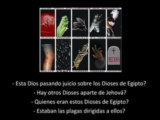 - Esta Dios pasando juicio sobre los Dioses de Egipto?
- Hay otros Dioses aparte de Jehová?
- Quienes eran estos Dioses de Egipto?
- Estaban las plagas dirigidas a ellos?

 