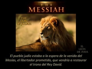 El pueblo judío estaba a la espera de la venida del
Mesías, el libertador prometido, que vendría a restaurar
el trono del Rey David.
El
lEón
dE Judá
 