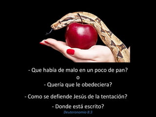 - Que había de malo en un poco de pan? 
o 
- Quería que le obedeciera? 
- Como se defiende Jesús de la tentación? 
- Donde está escrito? 
Deuteronomio 8:3 
 