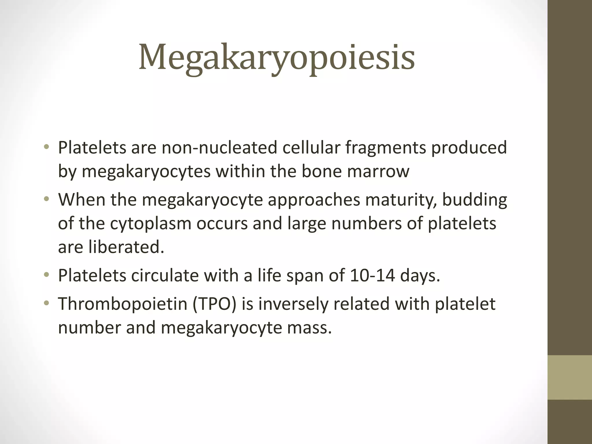 Megakaryopoiesis
• Platelets are non-nucleated cellular fragments produced
by megakaryocytes within the bone marrow
• When the megakaryocyte approaches maturity, budding
of the cytoplasm occurs and large numbers of platelets
are liberated.
• Platelets circulate with a life span of 10-14 days.
• Thrombopoietin (TPO) is inversely related with platelet
number and megakaryocyte mass.
 