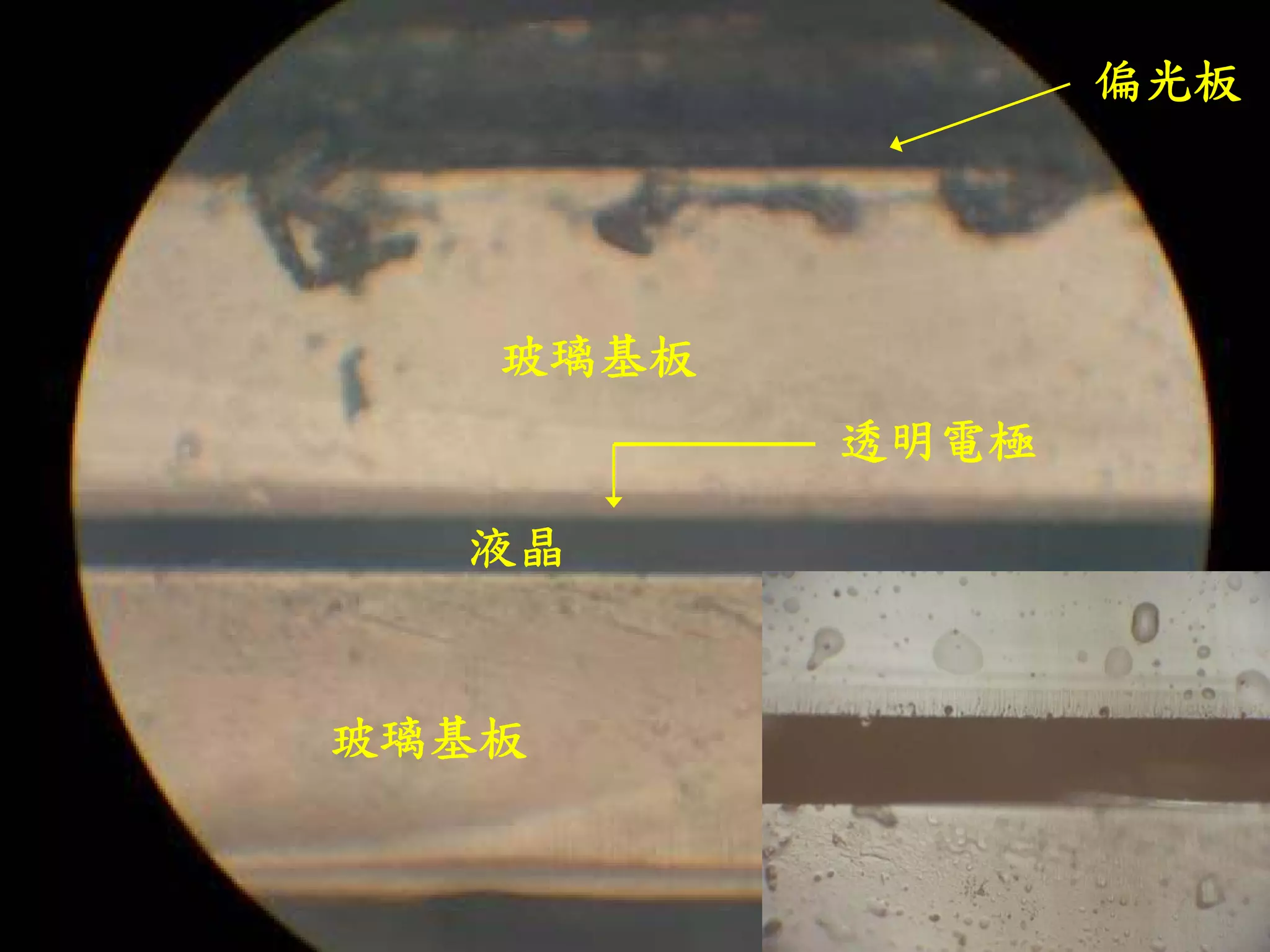 Pda之拆解(簡報)