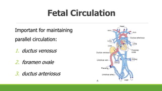 Imaging Findings of Patent Ductus Arteriosus.pptx