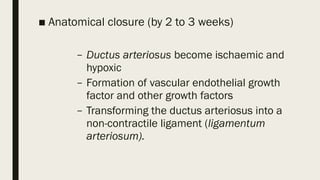 PDA patent ductus arteriosis pediatrics.pptx