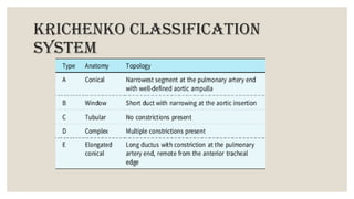Krichenko Comprehensive Overview of Patent Ductus Arteriosus: Diagnosis and ...