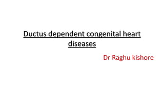 Ductus dependent congenital heart
diseases
Dr Raghu kishore
 