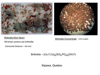 Britholite-Rich Skarn                            Britholite Concentrate (mm scale)
All brown prisms are britholite
(Horizontal Distance – 46 mm)



                            Britholite – (Ce,Y,Ca)5(SiO4.PO4)3(OH,F)



                                     Kipawa, Quebec
 