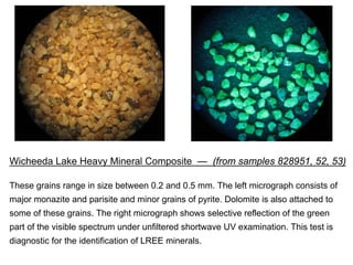 Wicheeda Lake Heavy Mineral Composite — (from samples 828951, 52, 53)

These grains range in size between 0.2 and 0.5 mm. The left micrograph consists of
major monazite and parisite and minor grains of pyrite. Dolomite is also attached to
some of these grains. The right micrograph shows selective reflection of the green
part of the visible spectrum under unfiltered shortwave UV examination. This test is
diagnostic for the identification of LREE minerals.
 