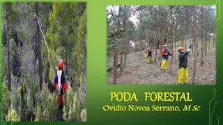 PODA FORESTAL
Ovidio Novoa Serrano, M Sc
 