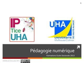 
Pédagogie numérique
Formations Ecole Doctorale 2013
UHA/Nicole Gévaudan 2013
1
 