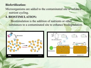 Concepts_of_bioremediation and it’s impact.pptx
