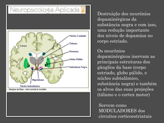 Destruição dos neurônios
dopaminérgicos da
substância negra e com isso,
uma redução importante
dos níveis de dopamina no
corpo estriado.
Os neurônios
dopaminérgicos inervam as
principais estruturas dos
gânglios da base (corpo
estriado, globo pálido, o
núcleo subtalâmico,
substância negra) e também
os alvos das suas projeções
(tálamo e o cortex motor)
Servem como
MODULADORES dos
circuitos corticoestriatais
 