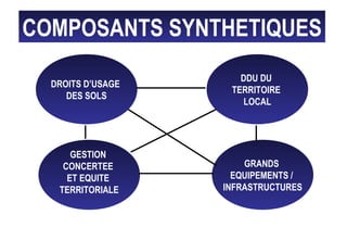 COMPOSANTS SYNTHETIQUES
DROITS D’USAGE
DES SOLS
DDU DU
TERRITOIRE
LOCAL
GESTION
CONCERTEE
ET EQUITE
TERRITORIALE
GRANDS
EQUIPEMENTS /
INFRASTRUCTURES
 
