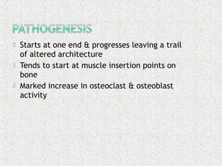  Starts at one end & progresses leaving a trail
of altered architecture
 Tends to start at muscle insertion points on
bone
 Marked increase in osteoclast & osteoblast
activity
 
