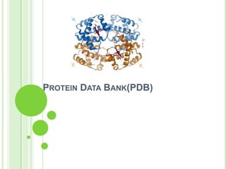 PROTEIN DATA BANK(PDB)
 
