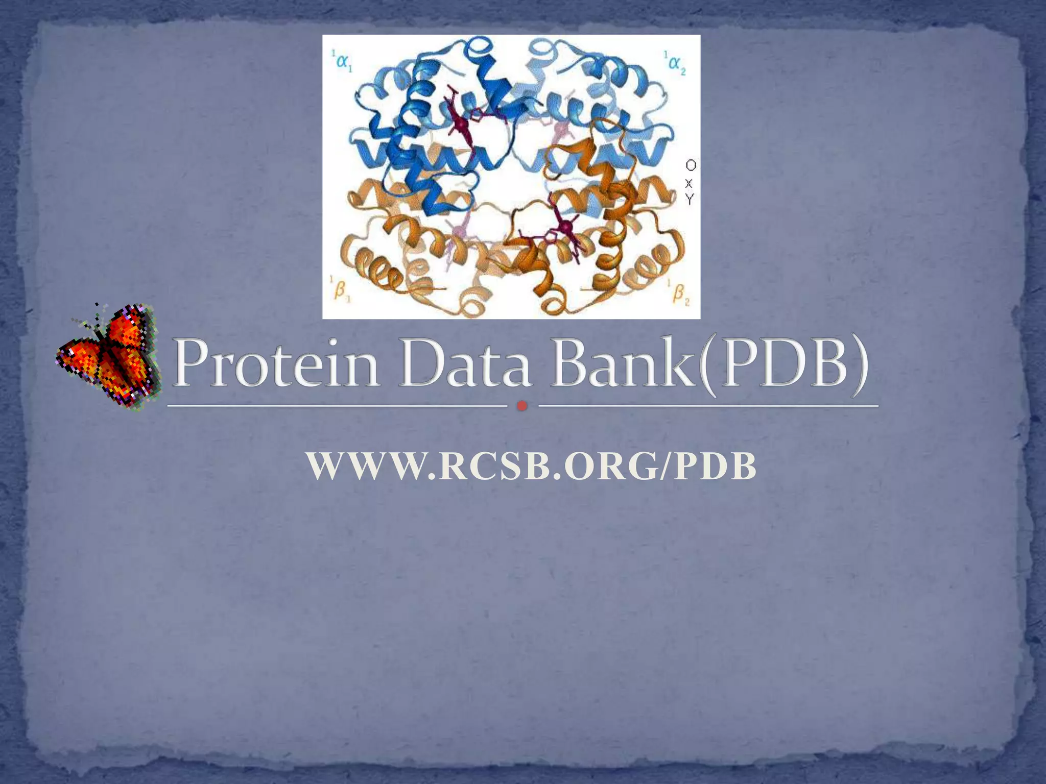 Protein Data Bank PPT