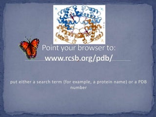put either a search term (for example, a protein name) or a PDB
                             number
 