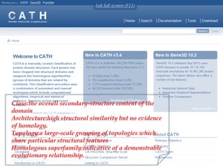 Class:the overall secondary-structure content of the
domain
Architecture:high structural similarity but no evidence
of homology.
Topology:a large-scale grouping of topologies which
share particular structural features
Homologous superfamily:indicative of a demonstrable
evolutionary relationship.
 