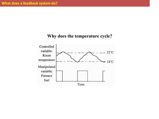What does a feedback system do?
 