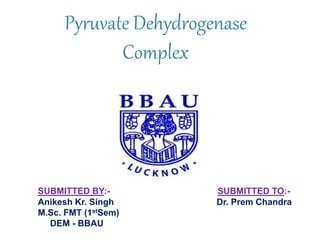 Pyruvate Dehydrogenase
Complex
SUBMITTED BY:- SUBMITTED TO:-
Anikesh Kr. Singh Dr. Prem Chandra
M.Sc. FMT (1stSem)
DEM - BBAU
 