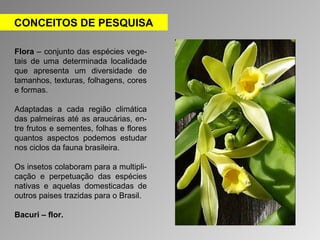 CONCEITOS DE PESQUISA 
Flora – conjunto das espécies vege-tais 
de uma determinada localidade 
que apresenta um diversidade de 
tamanhos, texturas, folhagens, cores 
e formas. 
Adaptadas a cada região climática 
das palmeiras até as araucárias, en-tre 
frutos e sementes, folhas e flores 
quantos aspectos podemos estudar 
nos ciclos da fauna brasileira. 
Os insetos colaboram para a multipli-cação 
e perpetuação das espécies 
nativas e aquelas domesticadas de 
outros paises trazidas para o Brasil. 
Bacuri – flor. 
 