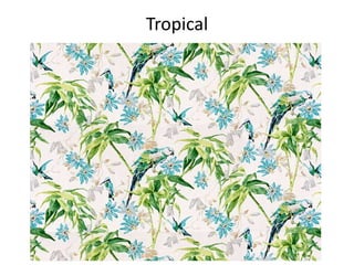 Tropical
 