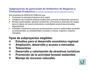 Subproyectos de generación de Ambientes de Negocios y
Promoción Productiva (en estrecha coordinación con los respectivos s...