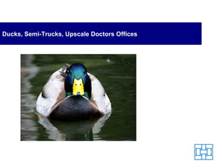 Ducks, Semi-Trucks, Upscale Doctors Offices 