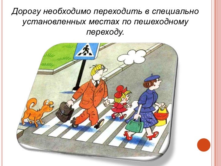 Правила поведения в машине