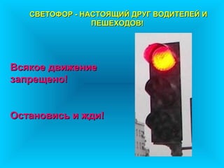 СВЕТОФОР - НАСТОЯЩИЙ ДРУГ ВОДИТЕЛЕЙ И
                ПЕШЕХОДОВ!




Всякое движение
запрещено!


Остановись и жди!
 