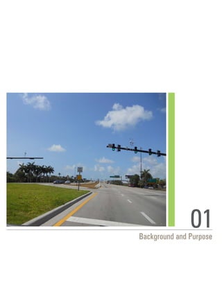 01Background and Purpose
 