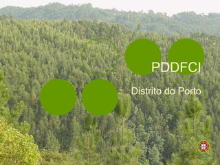 PDDFCI Distrito do Porto 